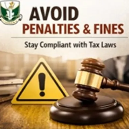 Proper Interpretation of Nigerian Tax Laws